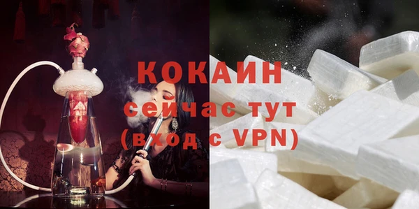 PSILOCYBIN Переславль-Залесский