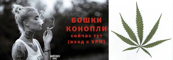 мдпв Пересвет