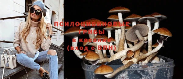 мдпв Пересвет