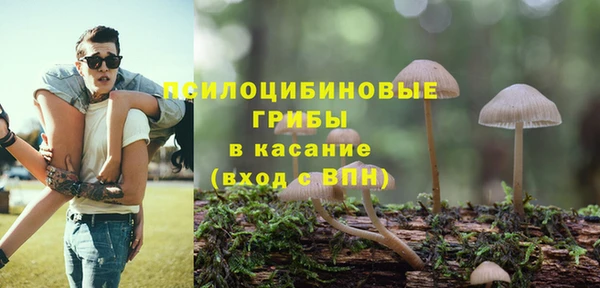 герыч Пестово