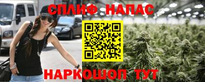 PSILOCYBIN Славгород